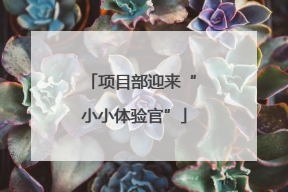 项目部迎来“小小体验官”