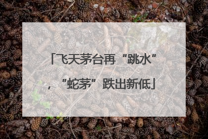 飞天茅台再“跳水”，“蛇茅”跌出新低