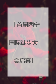 首届西宁国际徒步大会启幕