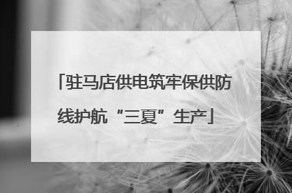 驻马店供电筑牢保供防线护航“三夏”生产