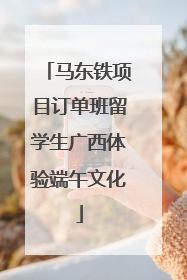 马东铁项目订单班留学生广西体验端午文化