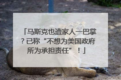 马斯克也遭家人一巴掌？已称“不想为美国政府所为承担责任”！