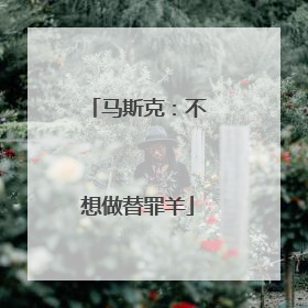 马斯克：不想做替罪羊