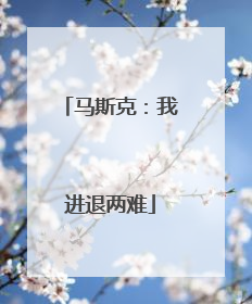 马斯克：我进退两难