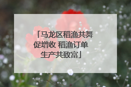马龙区稻渔共舞促增收 稻渔订单生产共致富