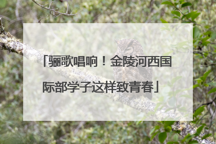 骊歌唱响！金陵河西国际部学子这样致青春