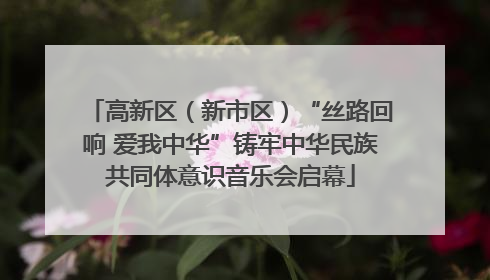 高新区（新市区）“丝路回响 爱我中华”铸牢中华民族共同体意识音乐会启幕