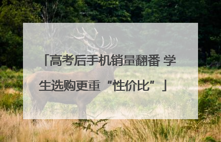 高考后手机销量翻番 学生选购更重“性价比”