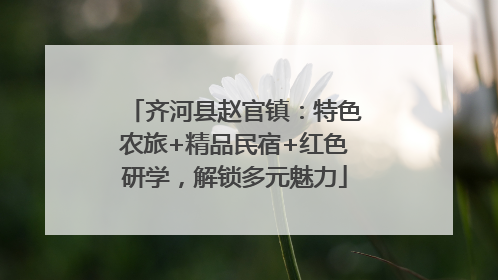 齐河县赵官镇：特色农旅+精品民宿+红色研学，解锁多元魅力