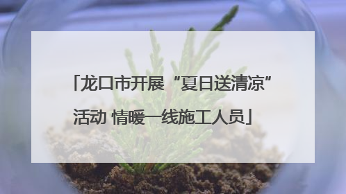 龙口市开展“夏日送清凉”活动 情暖一线施工人员