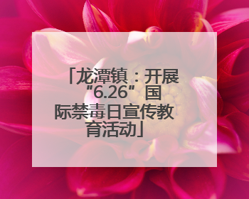 龙潭镇：开展“6.26”国际禁毒日宣传教育活动