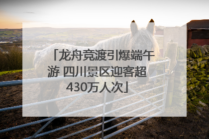 龙舟竞渡引爆端午游 四川景区迎客超430万人次