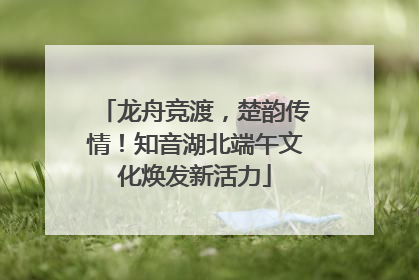 龙舟竞渡，楚韵传情！知音湖北端午文化焕发新活力