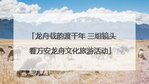 龙舟载韵渡千年 三组镜头看万安龙舟文化旅游活动