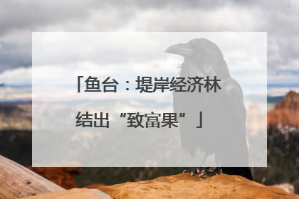 鱼台：堤岸经济林结出“致富果”