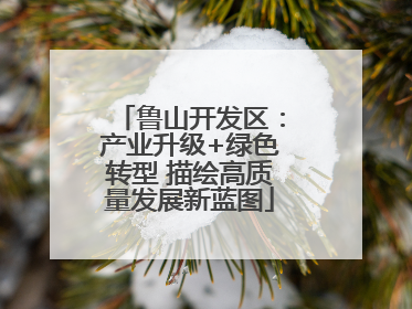鲁山开发区：产业升级+绿色转型 描绘高质量发展新蓝图