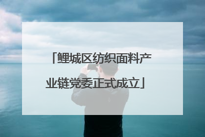 鲤城区纺织面料产业链党委正式成立