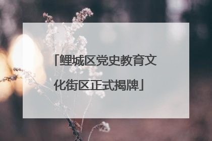 鲤城区党史教育文化街区正式揭牌