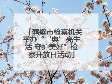 鹤壁市检察机关举办“‘典’亮生活 守护美好”检察开放日活动