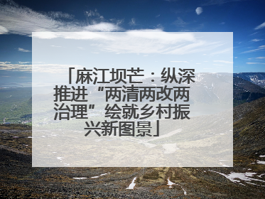 麻江坝芒：纵深推进“两清两改两治理”绘就乡村振兴新图景