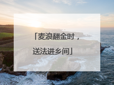 麦浪翻金时，送法进乡间