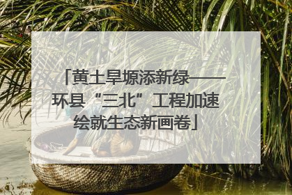 黄土旱塬添新绿——环县“三北”工程加速绘就生态新画卷