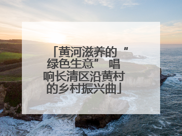 黄河滋养的“绿色生意” 唱响长清区沿黄村的乡村振兴曲