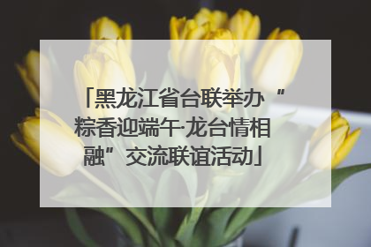 黑龙江省台联举办“粽香迎端午·龙台情相融”交流联谊活动