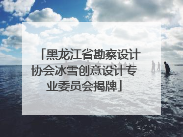 黑龙江省勘察设计协会冰雪创意设计专业委员会揭牌