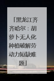 黑龙江齐齐哈尔：胡萝卜无人化种植破解劳动力短缺难题