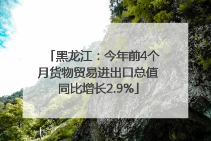 黑龙江：今年前4个月货物贸易进出口总值同比增长2.9%