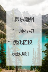 黔东南州“三项行动”优化招投标环境
