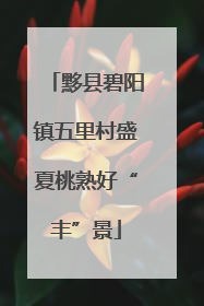 黟县碧阳镇五里村盛夏桃熟好“丰”景