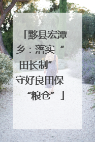 黟县宏潭乡：落实“田长制” 守好良田保“粮仓”