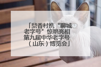 鼎香村携“聊城老字号”惊艳亮相第九届中华老字号（山东）博览会