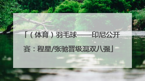 （体育）羽毛球——印尼公开赛：程星/张驰晋级混双八强