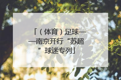 （体育）足球——南京开行“苏超”球迷专列