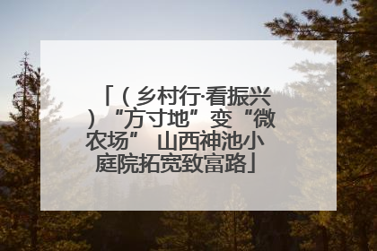 （乡村行·看振兴）“方寸地”变“微农场” 山西神池小庭院拓宽致富路
