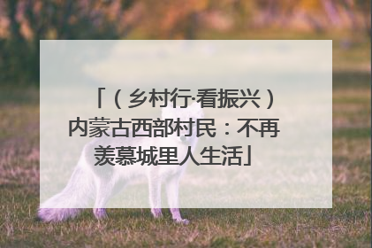 （乡村行·看振兴）内蒙古西部村民：不再羡慕城里人生活