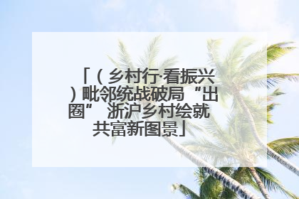 （乡村行·看振兴）毗邻统战破局“出圈” 浙沪乡村绘就共富新图景