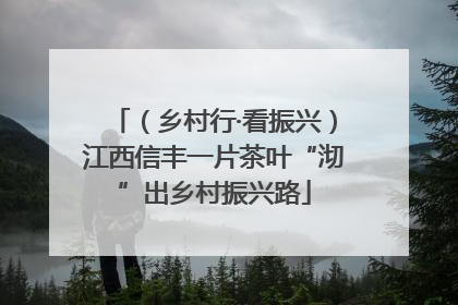（乡村行·看振兴）江西信丰一片茶叶“沏”出乡村振兴路
