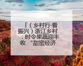 （乡村行·看振兴）浙江乡村：时令果蔬迎丰收 “甜蜜经济”促振兴