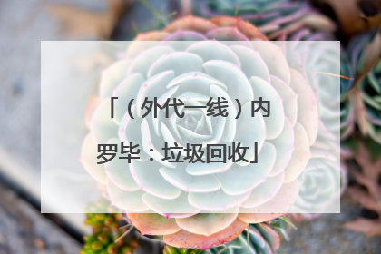 （外代一线）内罗毕：垃圾回收