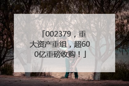 002379，重大资产重组，超600亿重磅收购！