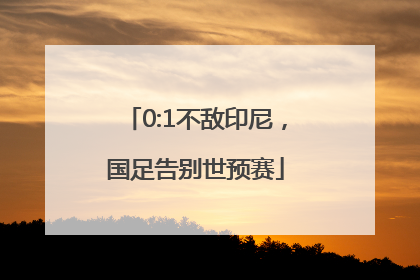 0:1不敌印尼，国足告别世预赛