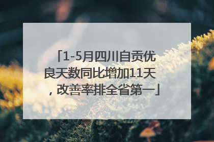 1-5月四川自贡优良天数同比增加11天，改善率排全省第一