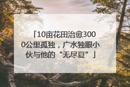 10亩花田治愈3000公里孤独，广水独眼小伙与他的“无尽夏”