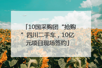 10国采购团“抢购”四川二手车，10亿元项目现场签约