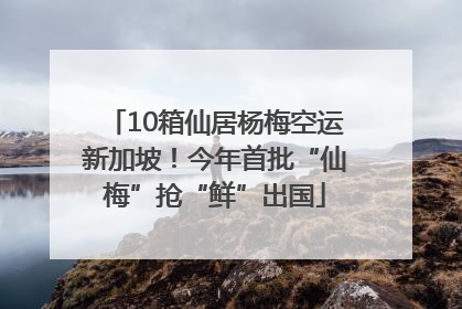 10箱仙居杨梅空运新加坡！今年首批“仙梅”抢“鲜”出国