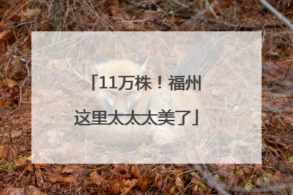 11万株！福州这里太太太美了